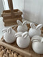 Osterhase | Bunny